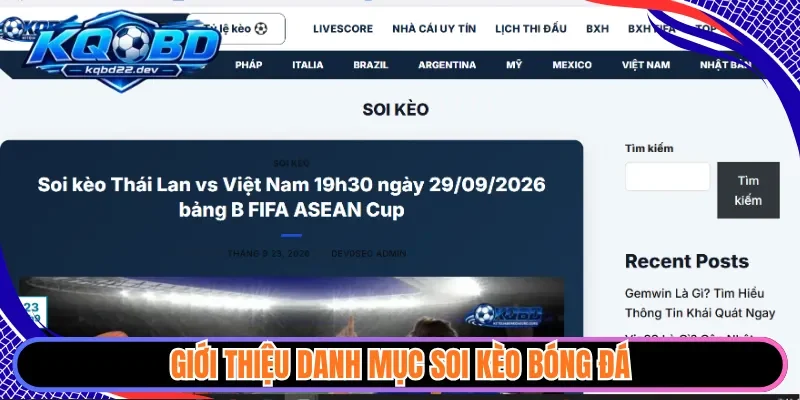 Giới thiệu danh mục soi kèo bóng đá