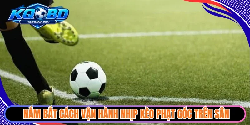 Kèo Phạt Góc - Góc Nhìn Sắc Bén Nắm Bắt Lợi Thế Lớn 2 Nắm bắt cách vận hành nhịp kèo phạt góc trên sân