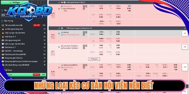 Tỷ lệ kèo 2 Những loại kèo cơ bản hội viên nên biết